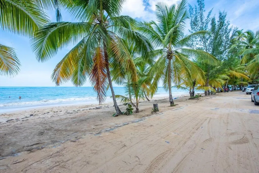 Villa Blu Beachfront Luxury Villa Las Terrenas Dominik Cumhuriyeti